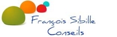 logo_FRANCOIS SIBILLE CONSEILS